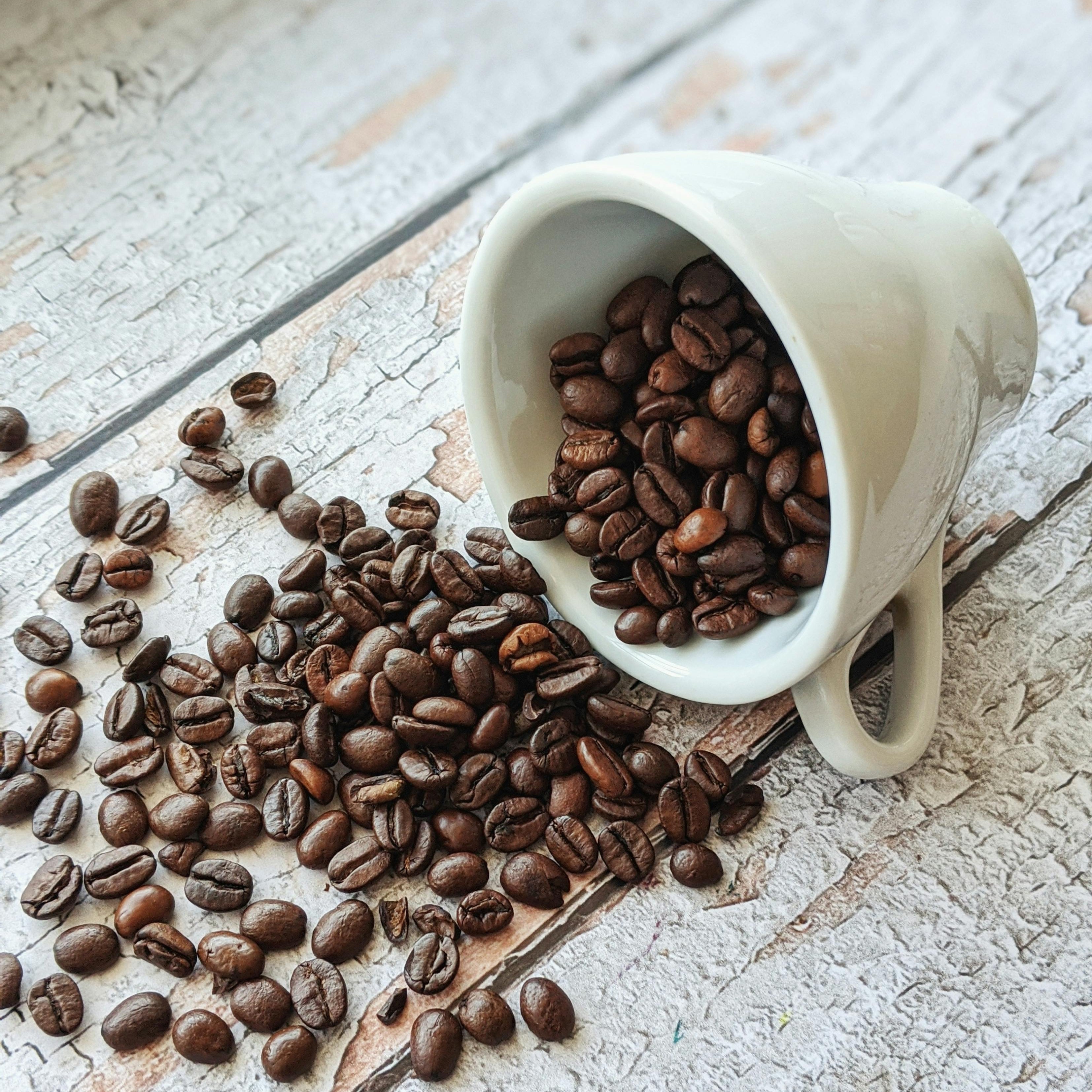 Prosumer Speciality Espresso Machines, Filter Brewers & Coffee Makers For My Home