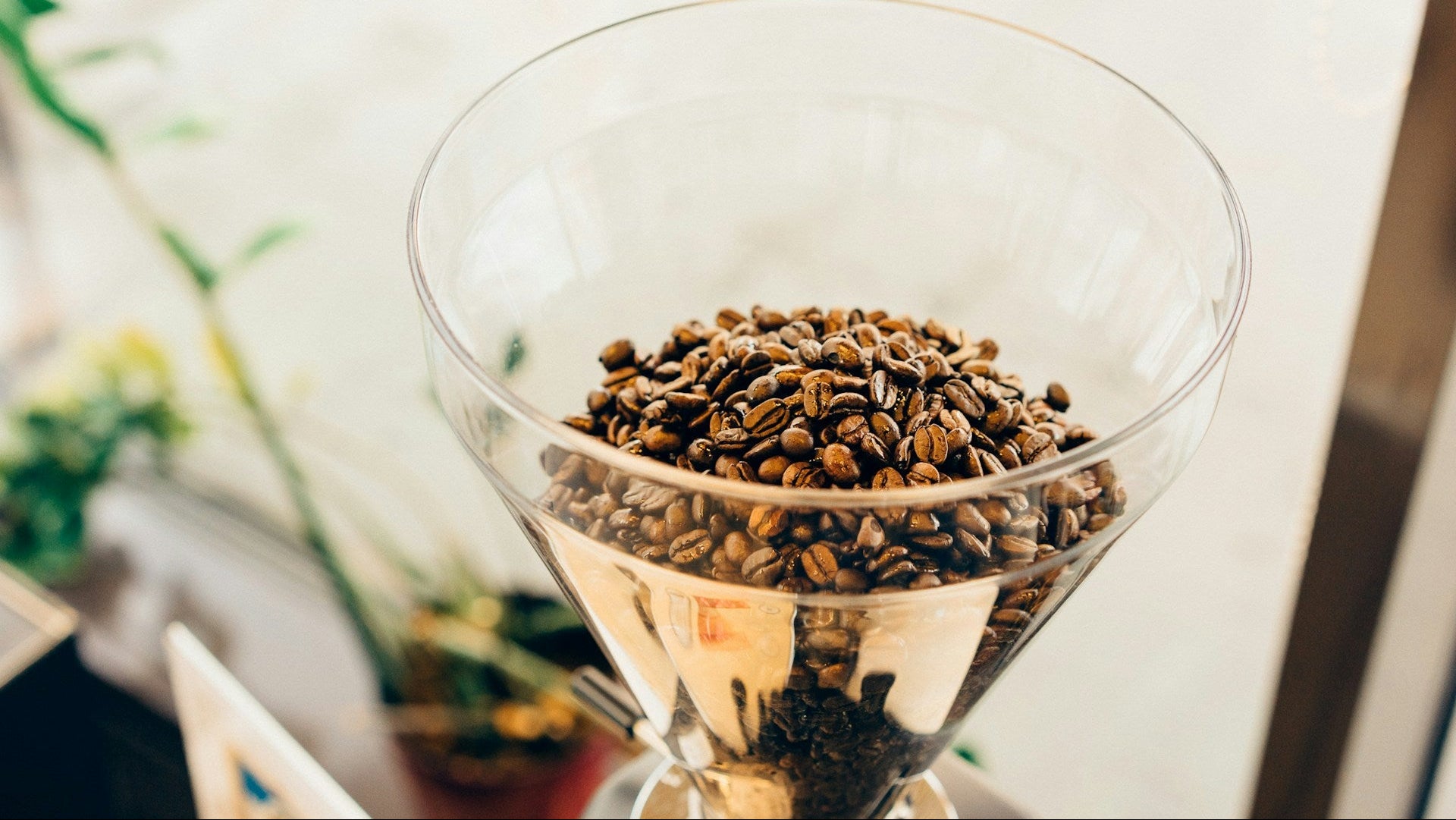 Prosumer Espresso, Hand & Filter Coffee Grinders For My Home